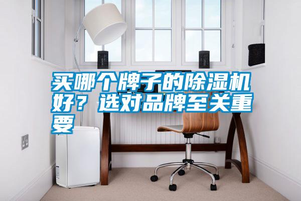 買哪個牌子的除濕機好？選對品牌至關重要