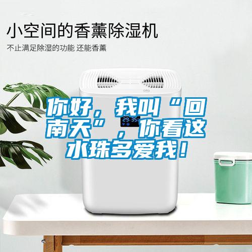 你好，我叫“回南天”，你看這水珠多愛我！