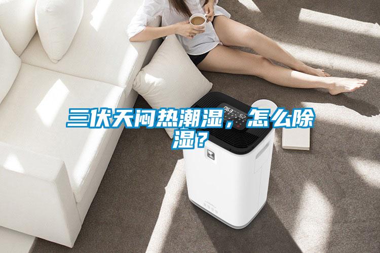 三伏天悶熱潮濕，怎么除濕？