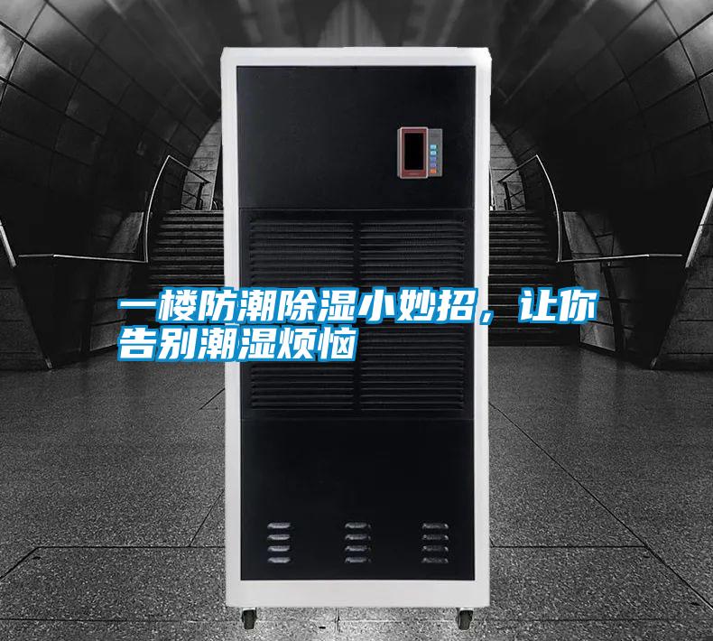 一樓防潮除濕小妙招，讓你告別潮濕煩惱