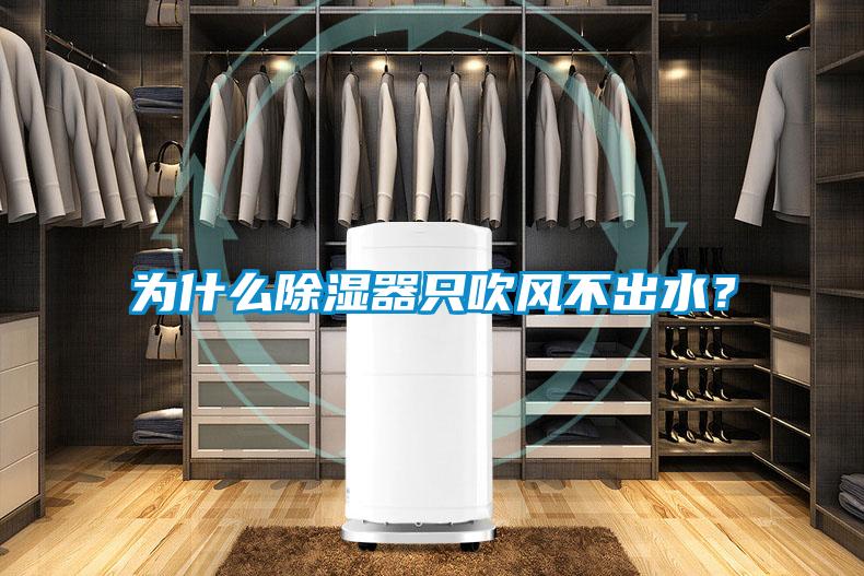 為什么除濕器只吹風(fēng)不出水？