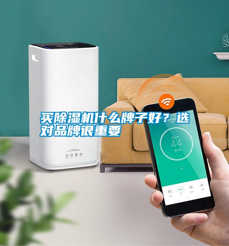 買除濕機(jī)什么牌子好？選對品牌很重要