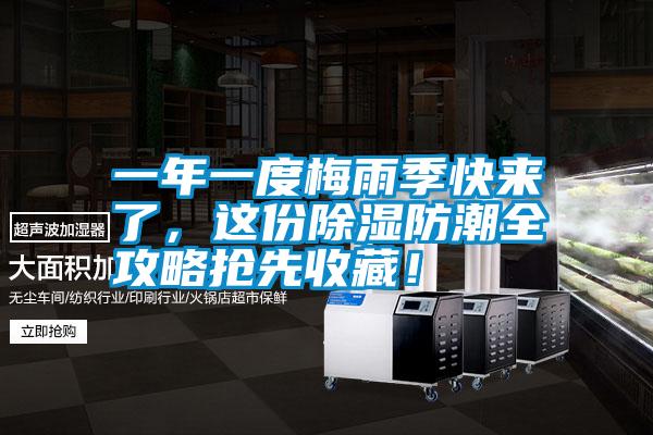 一年一度梅雨季快來了，這份除濕防潮全攻略搶先收藏！