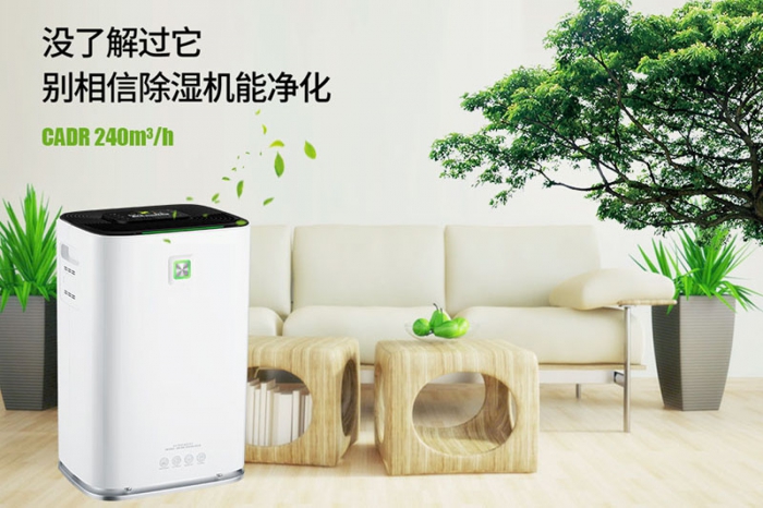 一到回南天狗狗就感冒+皮膚病，怎么辦？