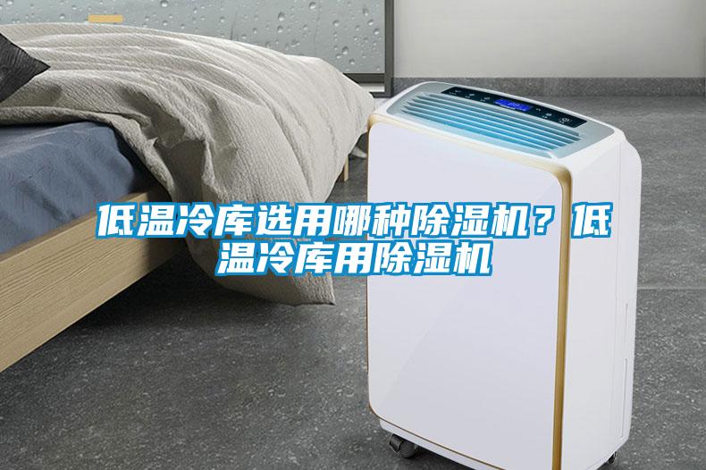 低溫冷庫(kù)選用哪種除濕機(jī)？低溫冷庫(kù)用除濕機(jī)