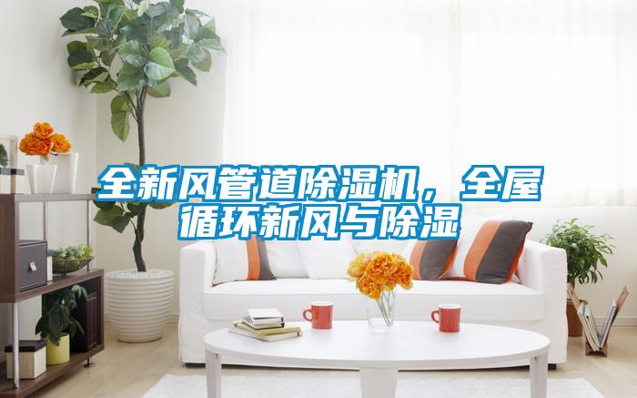 全新風(fēng)管道除濕機(jī)，全屋循環(huán)新風(fēng)與除濕