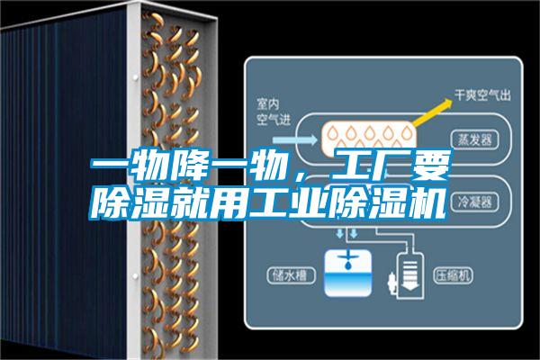 一物降一物，工廠要除濕就用工業(yè)除濕機