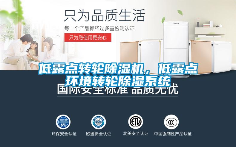 低露點轉(zhuǎn)輪除濕機(jī)，低露點環(huán)境轉(zhuǎn)輪除濕系統(tǒng)