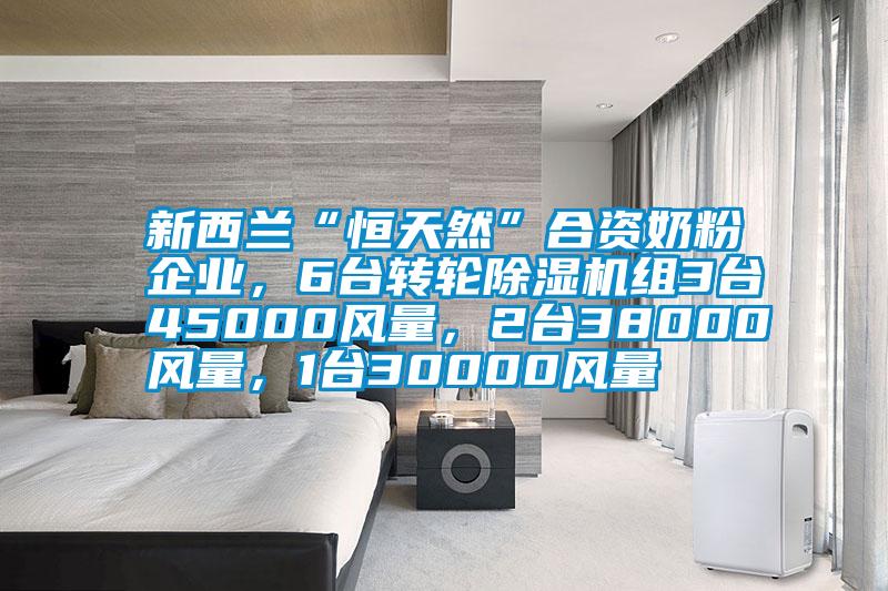 新西蘭“恒天然”合資奶粉企業(yè)，6臺轉(zhuǎn)輪除濕機組3臺45000風量，2臺38000風量，1臺30000風量