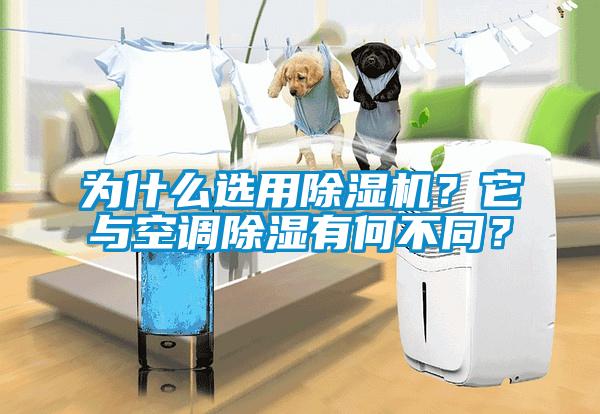 為什么選用除濕機(jī)？它與空調(diào)除濕有何不同？