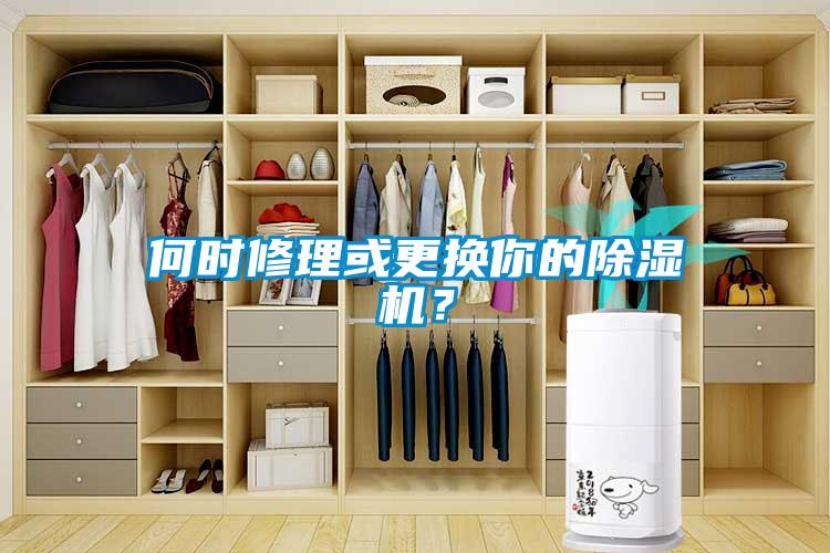 何時修理或更換你的除濕機？