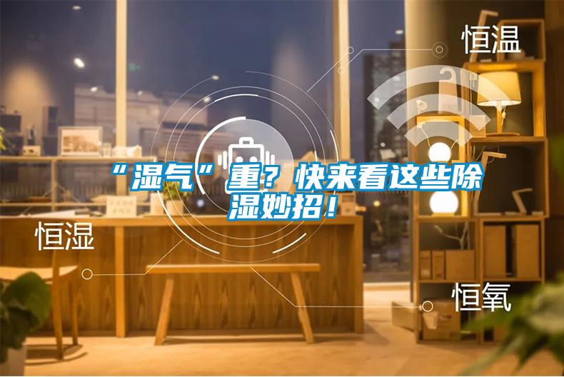 “濕氣”重？快來看這些除濕妙招！
