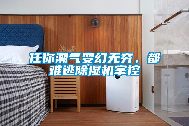 任你潮氣變幻無窮，都難逃除濕機(jī)掌控