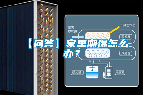 【問(wèn)答】家里潮濕怎么辦？