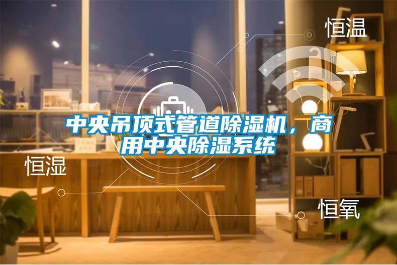 中央吊頂式管道除濕機(jī)，商用中央除濕系統(tǒng)