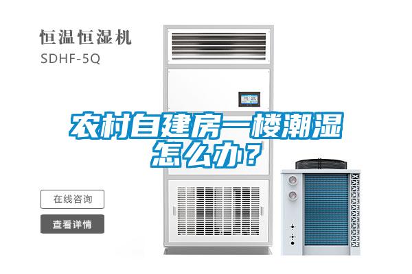 農(nóng)村自建房一樓潮濕怎么辦？