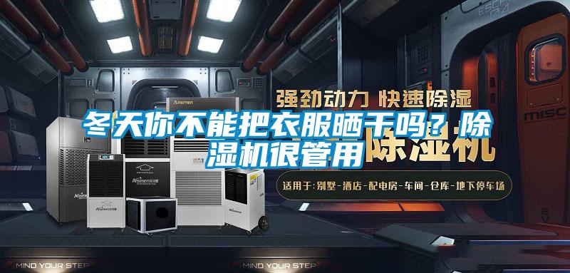 冬天你不能把衣服曬干嗎？除濕機很管用