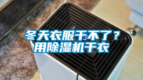 冬天衣服干不了？用除濕機干衣