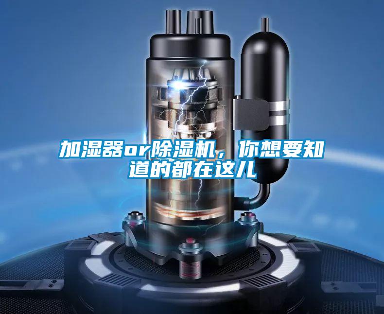 加濕器or除濕機，你想要知道的都在這兒