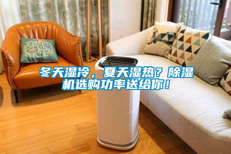 冬天濕冷，夏天濕熱？除濕機選購功率送給你！