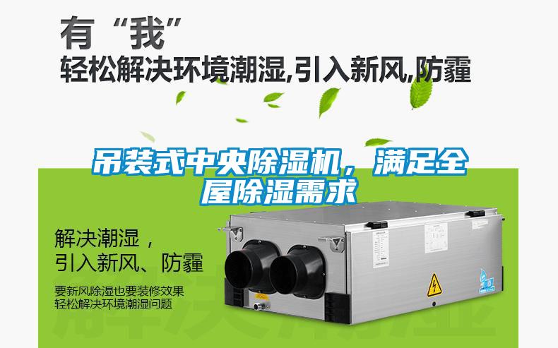 吊裝式中央除濕機(jī)，滿足全屋除濕需求
