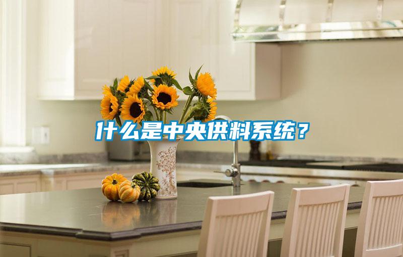 什么是中央供料系統(tǒng)？