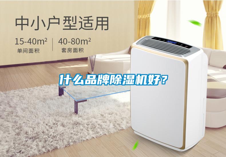 什么品牌除濕機(jī)好？