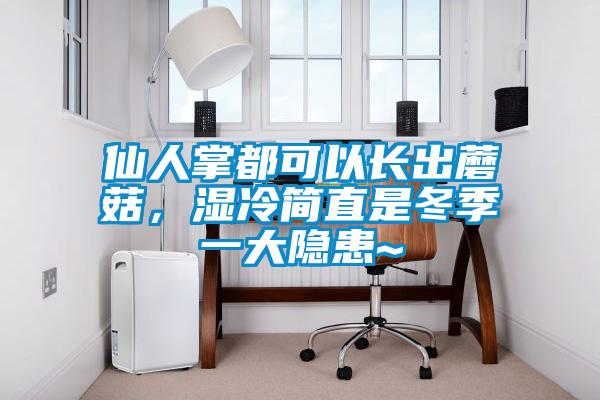 仙人掌都可以長出蘑菇，濕冷簡直是冬季一大隱患~