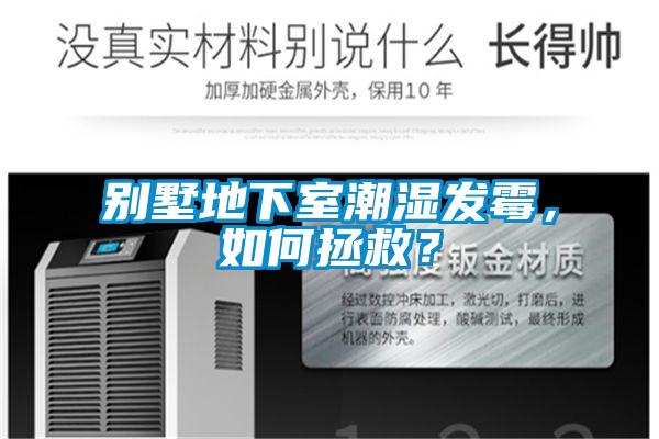 別墅地下室潮濕發(fā)霉，如何拯救？