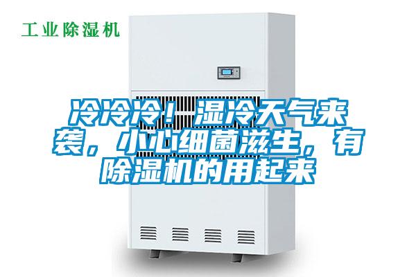 冷冷冷！濕冷天氣來襲，小心細菌滋生，有除濕機的用起來