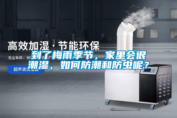 到了梅雨季節(jié)，家里會很潮濕，如何防潮和防蟲呢？
