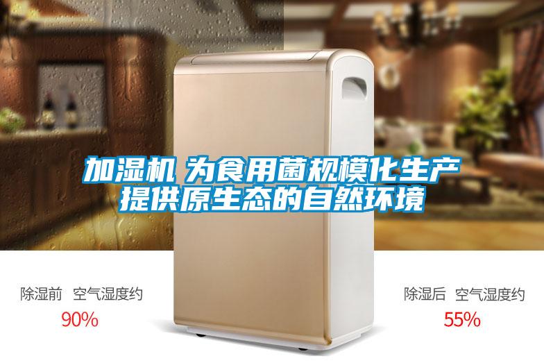加濕機(jī)　為食用菌規(guī)?；a(chǎn)提供原生態(tài)的自然環(huán)境