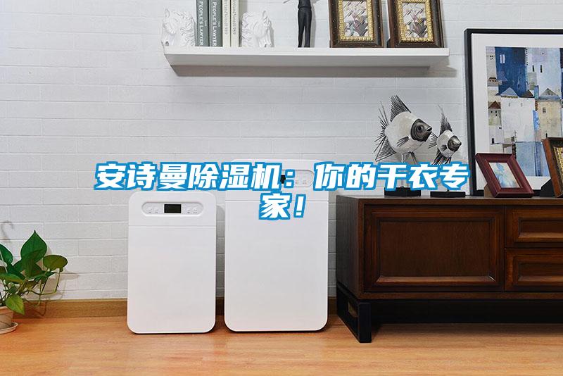 安詩(shī)曼除濕機(jī)：你的干衣專家！
