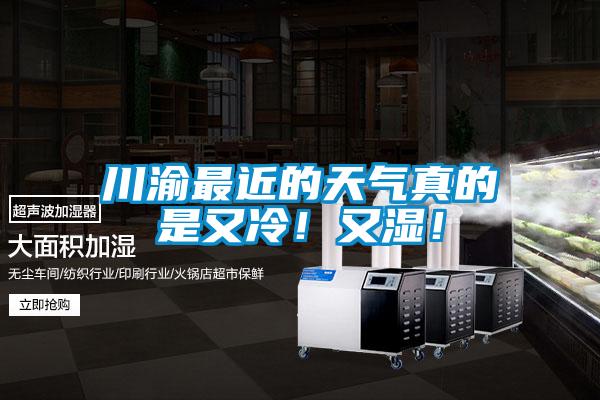 川渝最近的天氣真的是又冷！又濕！