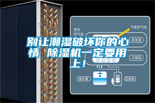 別讓潮濕破壞你的心情 除濕機(jī)一定要用上！