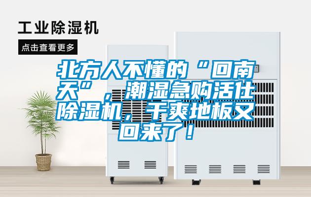 北方人不懂的“回南天”，潮濕急購活仕除濕機，干爽地板又回來了！