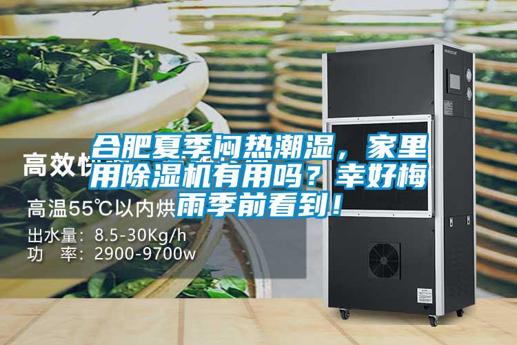 合肥夏季悶熱潮濕，家里用除濕機(jī)有用嗎？幸好梅雨季前看到！