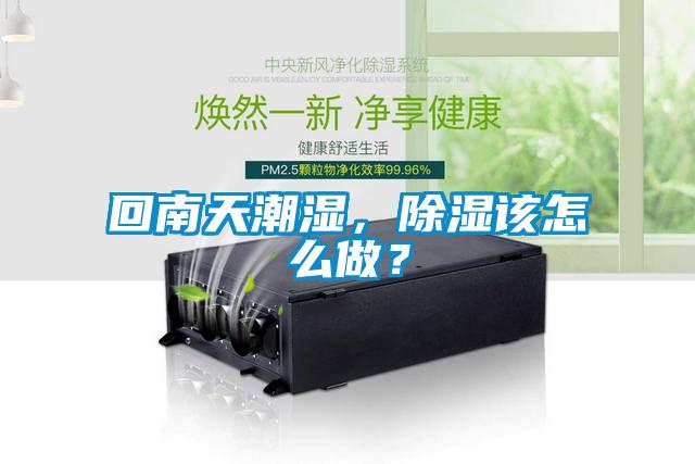 回南天潮濕，除濕該怎么做？