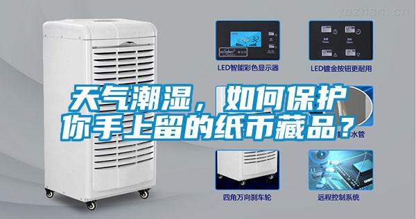 天氣潮濕，如何保護(hù)你手上留的紙幣藏品？