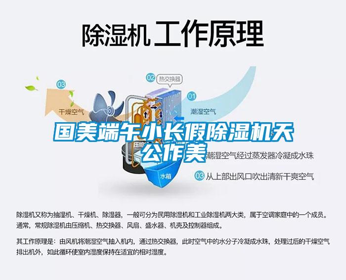國美端午小長(zhǎng)假除濕機(jī)天公作美
