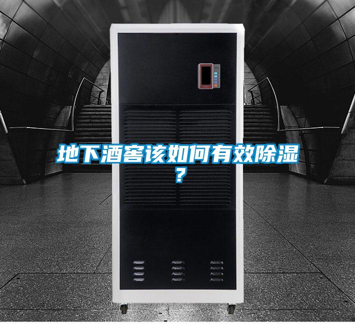 地下酒窖該如何有效除濕？