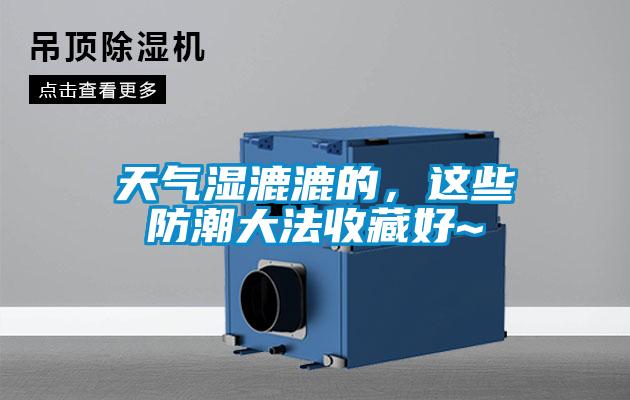 天氣濕漉漉的，這些防潮大法收藏好~