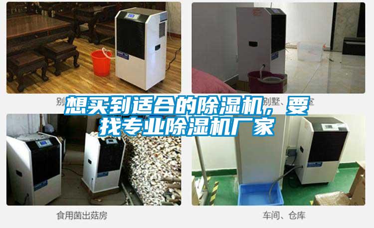 想買到適合的除濕機(jī)，要找專業(yè)除濕機(jī)廠家