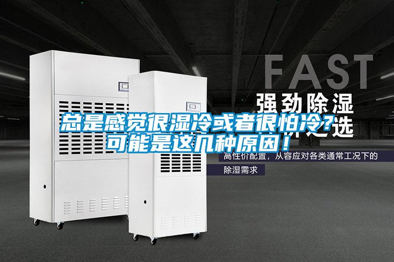 總是感覺很濕冷或者很怕冷？可能是這幾種原因！