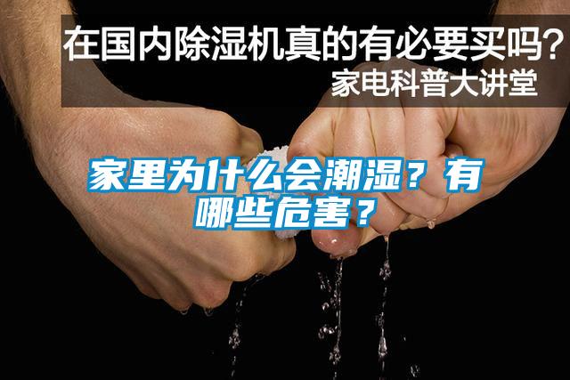 家里為什么會潮濕？有哪些危害？