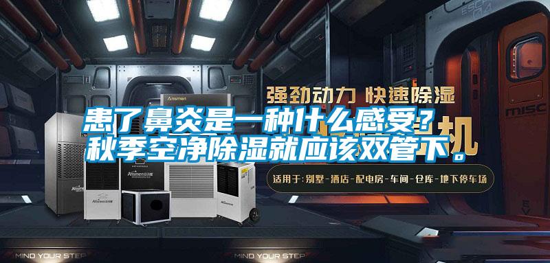患了鼻炎是一種什么感受？ 秋季空凈除濕就應(yīng)該雙管下。