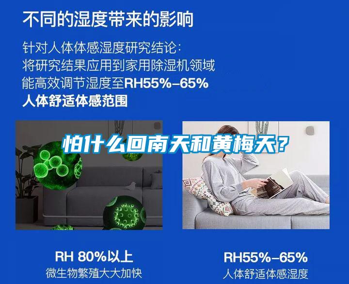 怕什么回南天和黃梅天？
