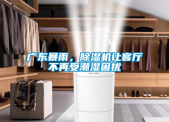廣東暴雨，除濕機(jī)讓客廳不再受潮濕困擾