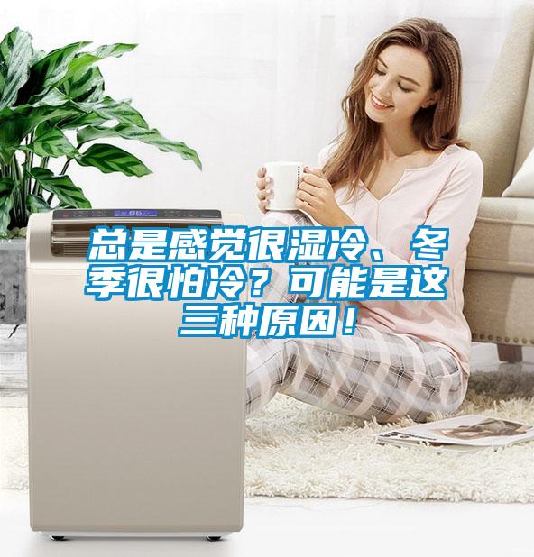 總是感覺很濕冷、冬季很怕冷？可能是這三種原因！