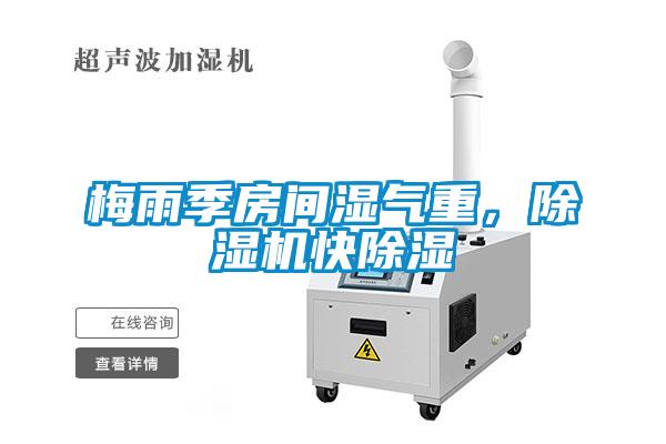 梅雨季房間濕氣重，除濕機快除濕